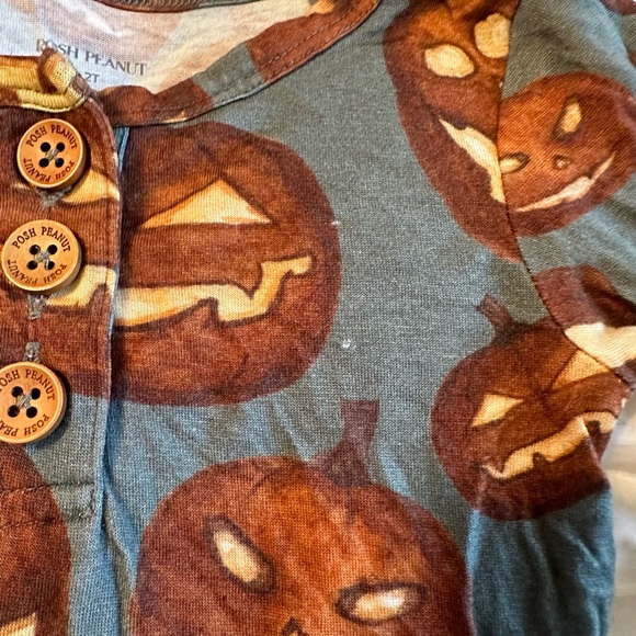 Posh Peanut pumpkin long sleeve twirl.  EUC 2T - Picture 5 of 6